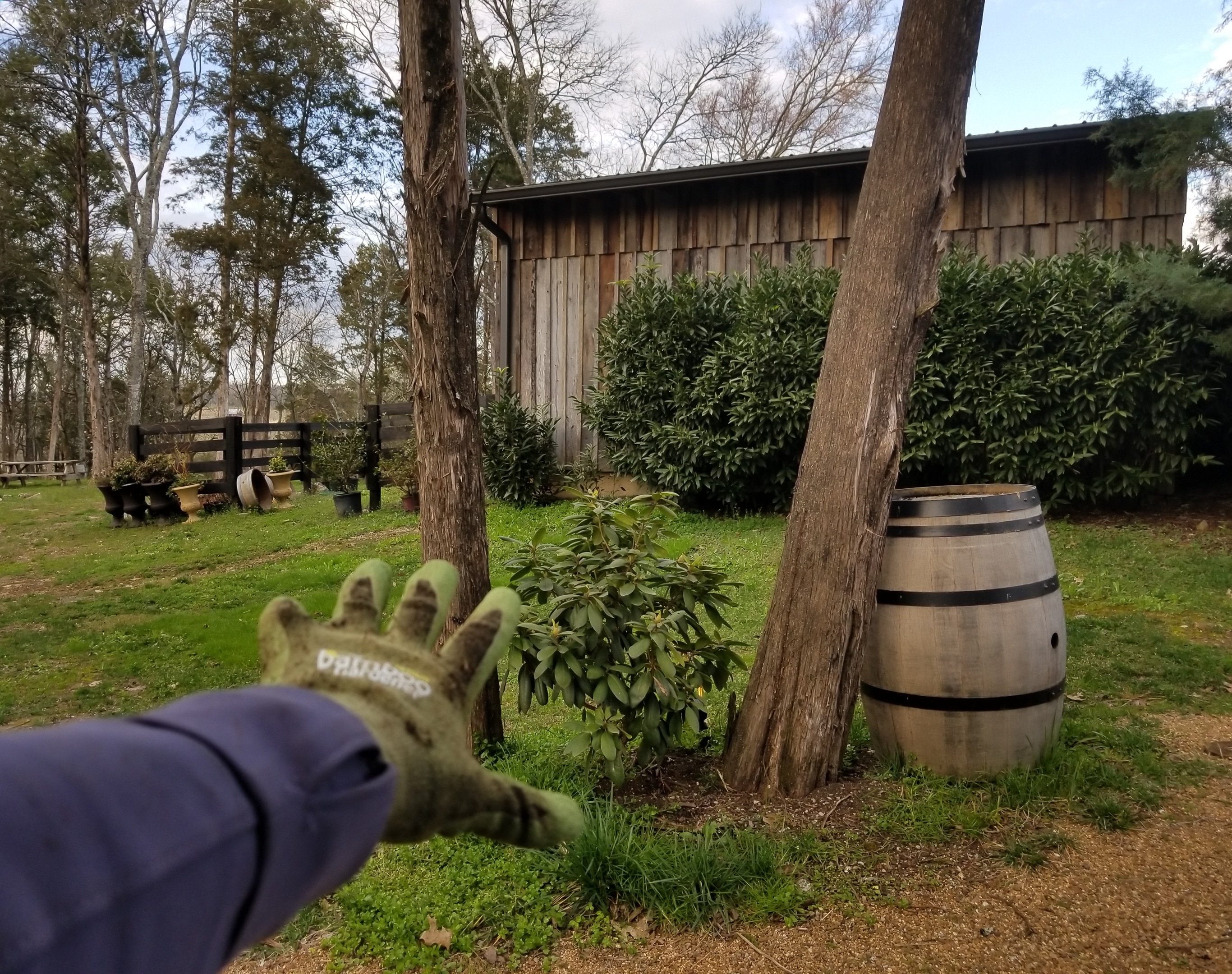 img_20190309_235558_287